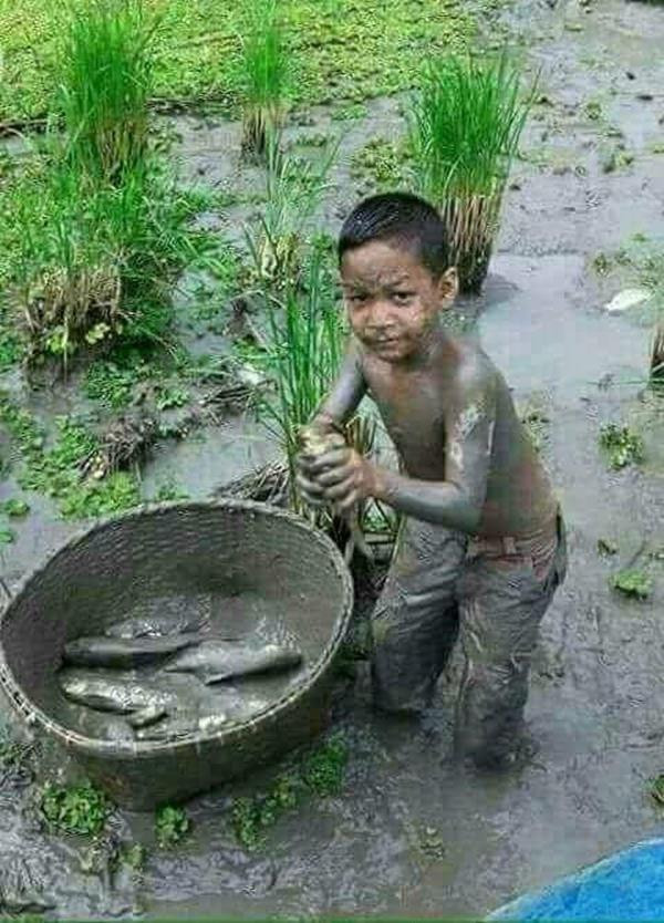 Tuổi thơ là những buổi chiều đi ra đồng bắt cá để về cải thiện bữa cơm cho gia đình hay chỉ đơn thuần là nướng cá tổ chức bữa ăn với chúng bạn.