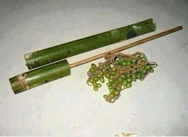 Hẳn những đứa trẻ nông thôn ngày xưa đều biết đến món đồ chơi "thần thánh" này: súng ống tre với những "viên đạn" là quả xoan.