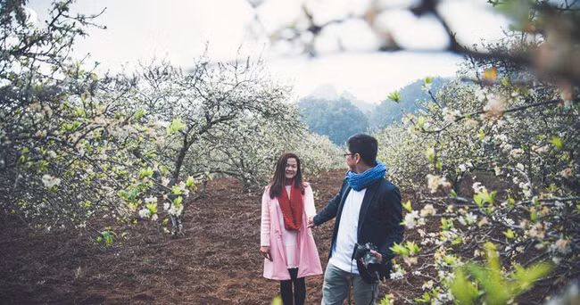 Hoa mận Mộc Châu nở rộ nhất vào 2 đến 3 tuần sau dịp Tết Nguyên Đán, với diện tích rộng lớn cây mận mùa ra hoa khiến khung cảnh của vùng đất phía Tây Bắc này trở nên vô cùng lung linh. Ảnh: Minh Ánh.