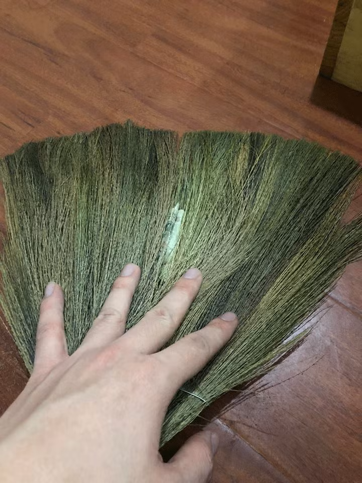 Hoi chi em nga ngua voi cho 