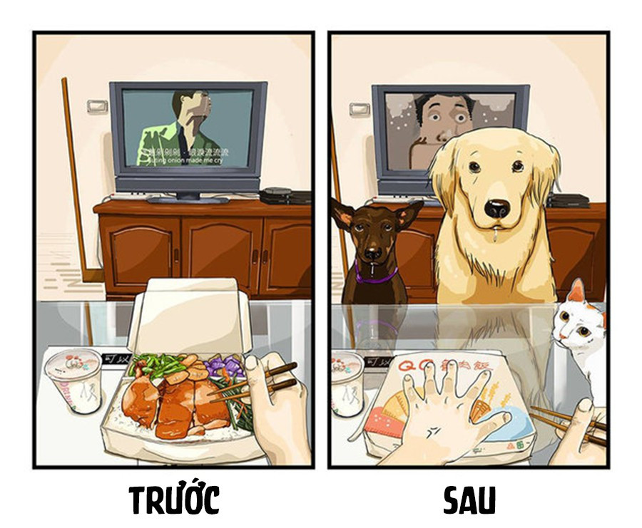 Ngày xưa bạn tha hồ thưởng thức bữa ăn của mình một cách ngon lành, còn hiện tại, bạn ăn cũng không yên khi có thêm một đứa háu ăn đang chầu chực, nhìn chằm chằm vào đồ ăn của bạn.