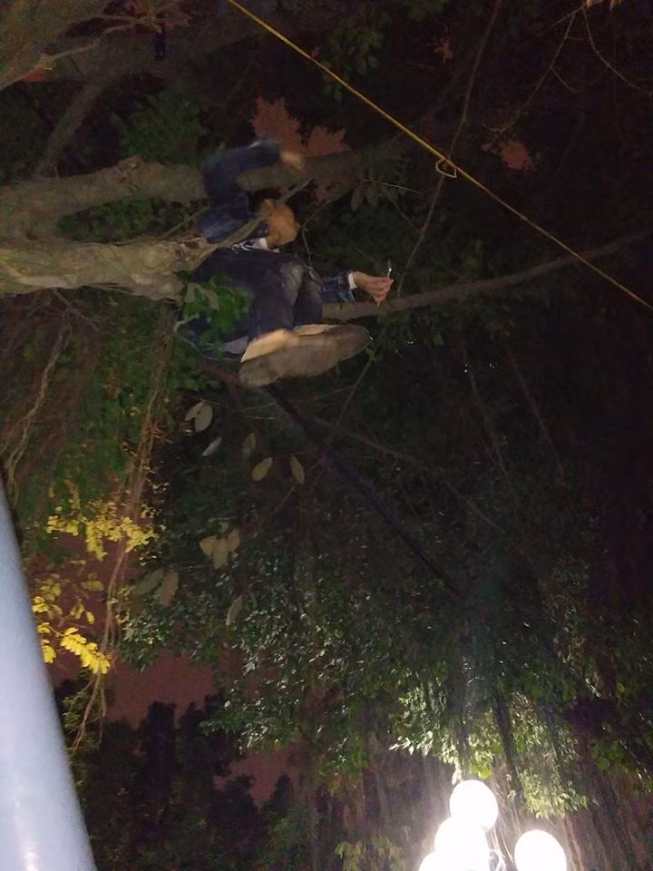 Theo nickname Hoàng Anh chia sẻ: "Mình là người đứng ngay dưới những thanh niên ngồi vắt vẻo trên cây tại chương trình đếm ngược chào đón năm mới vừa qua, ngồi trên cây đã là sai, mấy bạn này còn hút thuốc, gạt tàn và vứt tóp thuốc thẳng xuống những người đứng dưới một cách vô ý thức".