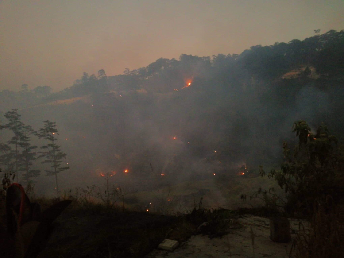 Hiện tại, The Wilder-nest đang đóng cửa để sửa chữa trong vòng 5 ngày thông tin này được chính fanpage của cơ sở lưu trú này đưa ra.