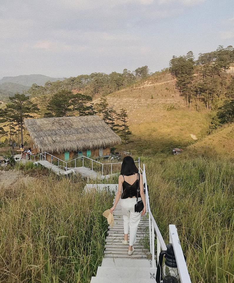 The Wilder - nest nằm dưới chân đèo Prenn gần hồ Tuyền Lâm tách biệt hoàn toàn với trung tâm thành phố nên yên tĩnh bình yên vô cùng. Đặc biệt các góc của Wilder "đẹp không góc chết" từng là "thánh địa sống ảo" của rất nhiều bạn trẻ.