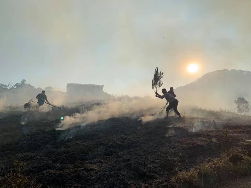 Thông tin này ngay sau đó đã khiến rất nhiều tín đồ du lịch hoang mang tột độ. Rất may, không có thiệt hại về người và của nào sau vụ cháy này.