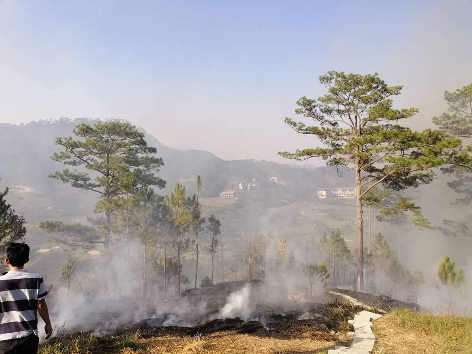 Trước đó mọi người đã cẩn thận xịt nước hết lên bãi cỏ khô, mái lá và vách nhà bằng gỗ rồi nhưng vẫn không ngờ ngọn lửa có thể lan nhanh đến vậy" gây bất ngờ. Thiệt hại của nhà sau đám cháy là cháy rụi hết, may mắn khu vực lưu trú không sao cả. Nhưng về tinh thần thì mới là thiệt hại lớn nhất, ai cũng sợ hãi tột độ và chỉ muốn ngã gục sau đám cháy". Trang fanpage của homestay trên cho biết.