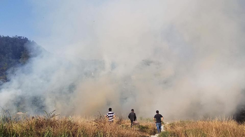 Cùng ngắm thêm những góc ảnh cực chất tạihomestay nổi tiếng Đà Lạt bỗng dưng bốc cháy thời gian qua.