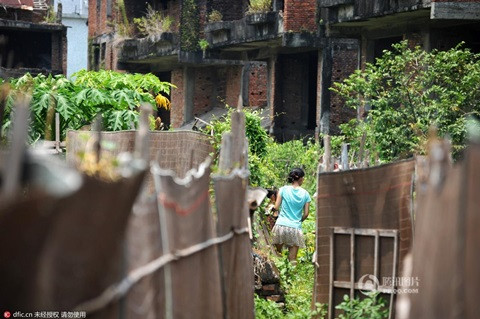 Dot nhap biet thu ma 24 nam khong ai dam o-Hinh-4