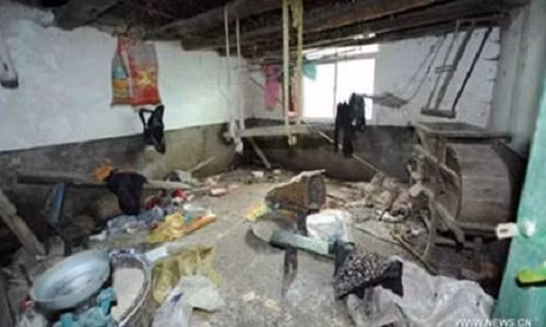 Rung dong 4 anh chi em ruot uong tu van