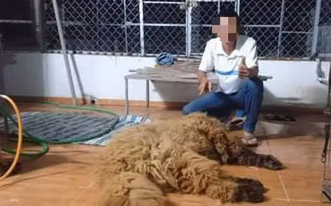 Mới đây, một người đàn ông ở Bạc Liêu đăng tải clip ghi lại cảnh hướng dẫn làm thịt con chó Ngao Tây Tạng to lớn đã dấy lên làn sóng bức xúc của dân mạng bởi độ dã man và ghê rợn với vật nuôi được đánh giá thông minh và gần gũi với con người.