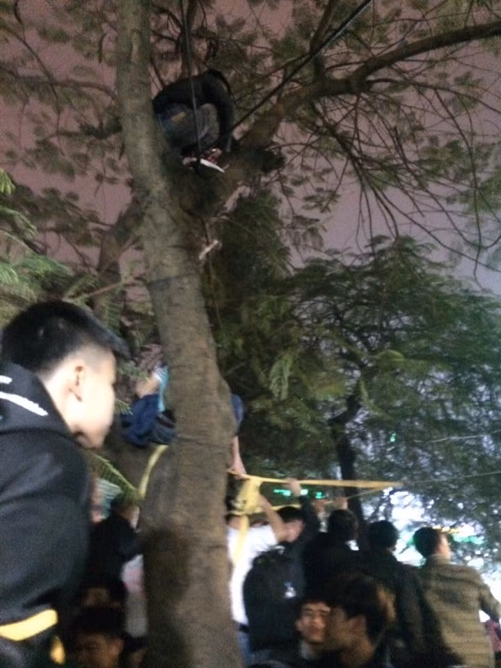 Chứng kiến những hình ảnh này, rất nhiều dân mạng đã lên tiếng bất bình rằng "Ai cũng mà như các bạn trẻ này thì còn gì là cây cối nữa. Không chỉ gây nguy hiểm cho chính bản thân mà rất có thể sẽ gây ảnh hưởng đến những người ở dưới".