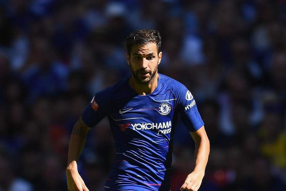 Chuyển nhượng bóng đá từ Daily Mail, sau AC Milna, đến lượt Atletico Madrid đã đánh tiếng để giải cứu ngôi sao thất sủng tại Chelsea là Cesc Fabregas.