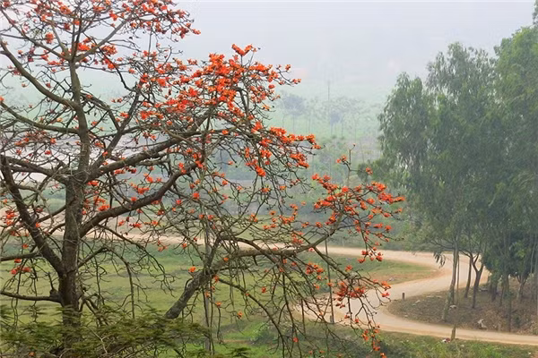 Đây là một trong bốn ngôi chùa linh thiêng thuộc bậc nhất của phía Tây nội thành. Chùa Trầm mang đậm kiến trúc cổ kính, tâm linh của vùng Bắc Bộ. Dù diện tích không quá lớn nhưng đến đây bạn có thể thấy được rằng ngôi chùa nằm ở vị thế vô cùng tuyệt hảo.