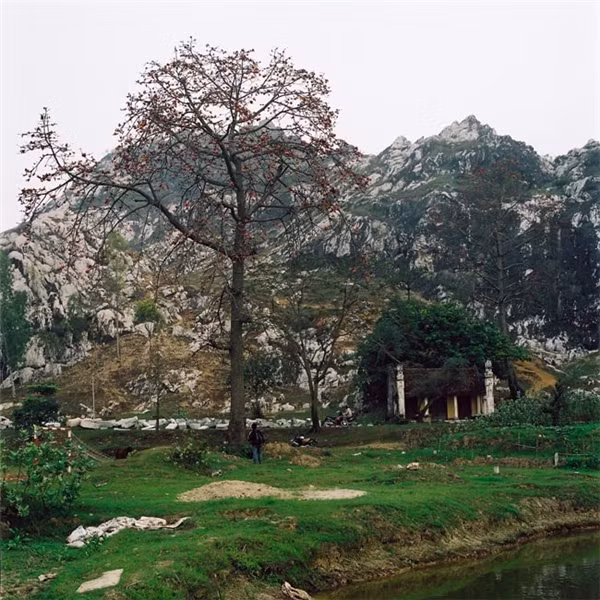Nằm cách trung tâm thủ đô hơn 20km, chùa Trầm là điểm đến lí tưởng dành cho nhiều du khách. Không chỉ mang đậm kiến trúc cổ kính, độc đáo mà tới nơi đây bạn còn có thể được nhìn ngắm khung cảnh vô cùng hùng vĩ, nên thơ của núi Trầm.