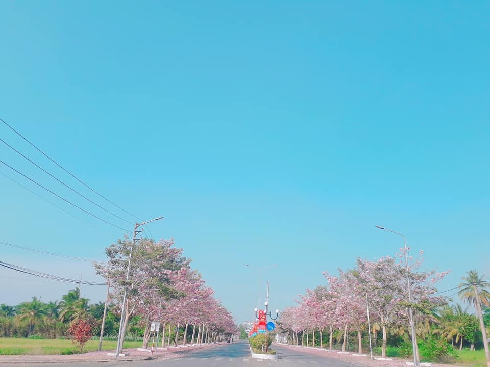 Mỗi ngày có hàng trăm người, trong đó đông nhất vẫn là các bạn trẻ đến chụp hình làm kỷ niệm. Có những cặp đôi chuẩn bị kết hôn cũng tranh thủ đến đây lưu giữ khoảnh khắc đẹp.