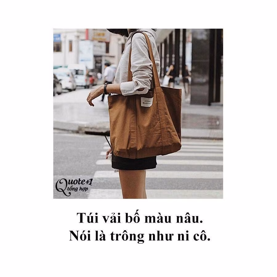 Túi vải màu nâu thì bị ví như giống ni cô trên chùa xuống bán hàng từ thiện.