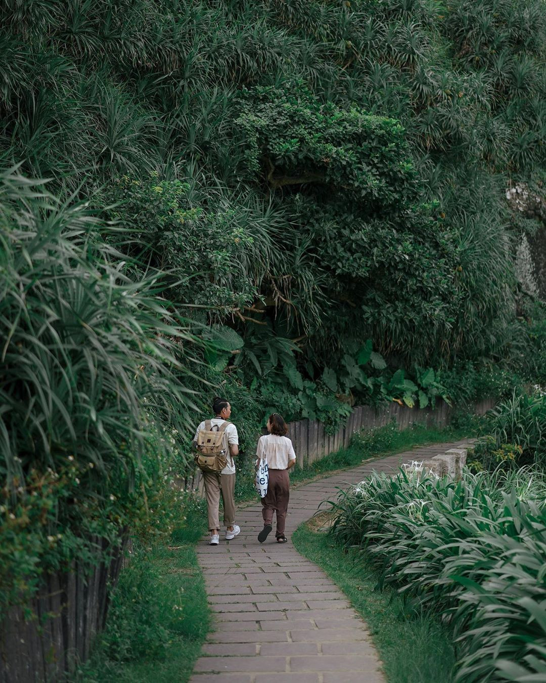 Nếu bạn đang có ý định chinh phục đường mòn Bitou Cape thì hãy chuẩn bị tâm thế rằng sẽ hơi mệt nhẹ khi leo đó.