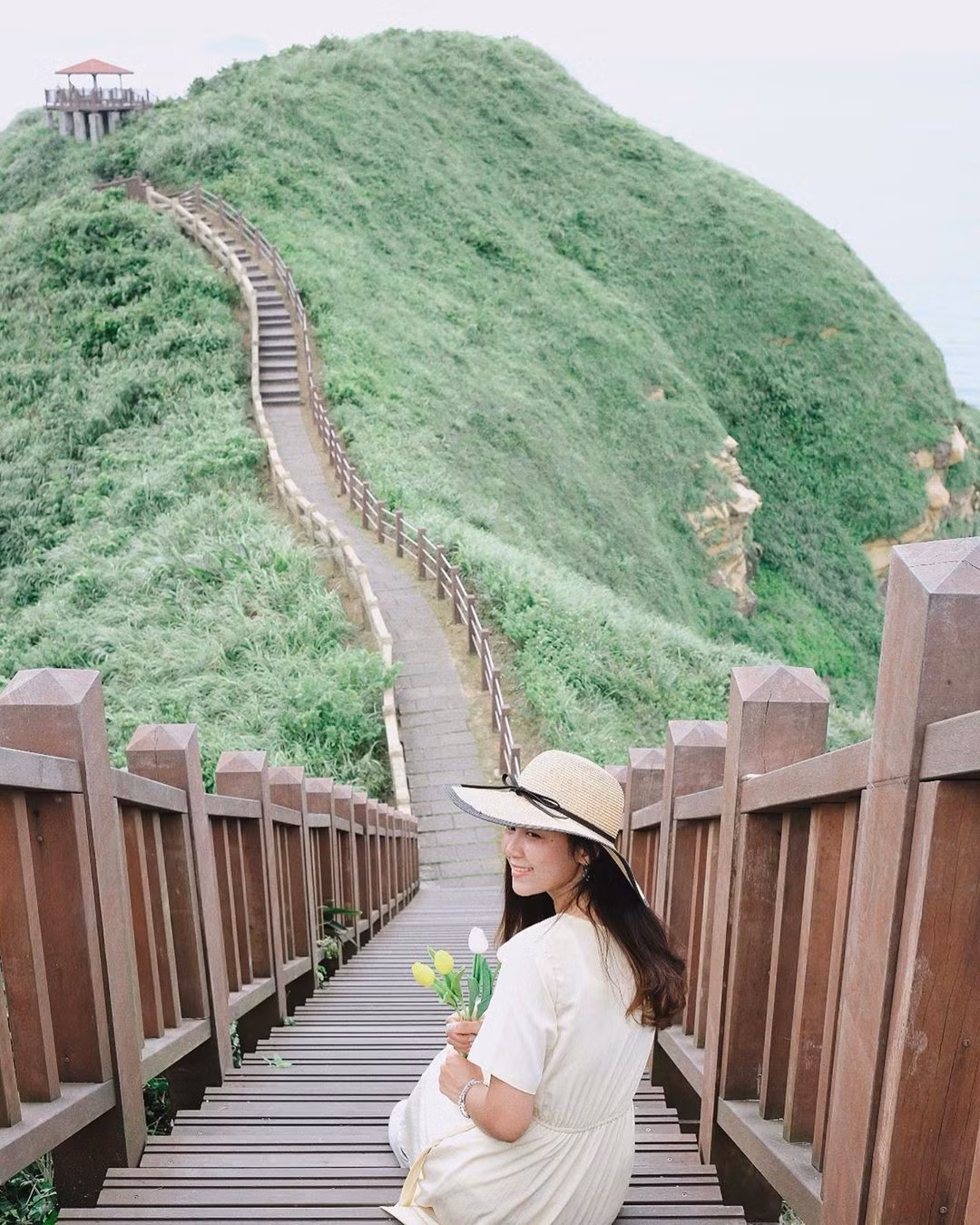 Để di chuyển từ Đài Bắc đến mũi Bitou Cape, bạn có thể thuê xe riêng hoặc sử dụng phương tiện giao thông công cộng. Tuy nhiên để đơn giản và tiết kiệm nhất, bạn nên ưu tiên sử dụng xe bus ở Hall Bus Station.