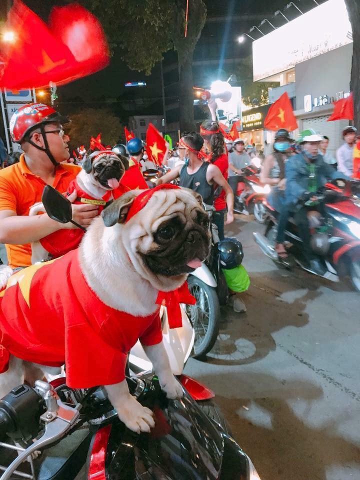 Hét nhiều quá đâm ra hơi khản cổ, mình xin phép nghỉ vài phút nhé...