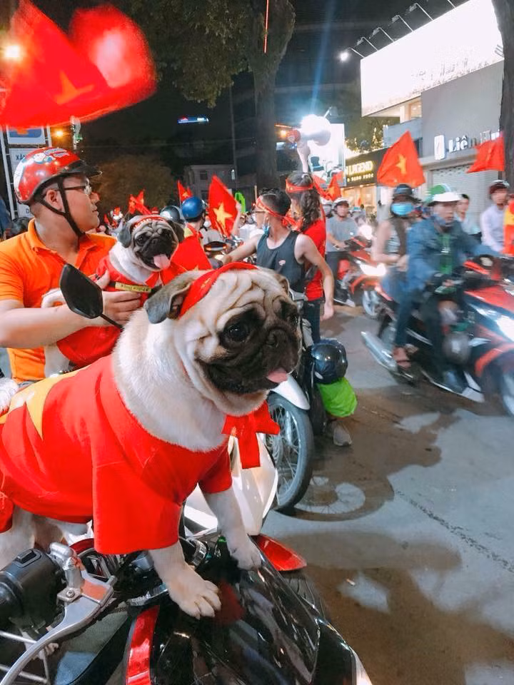 Hét nhiều quá đâm ra hơi khản cổ, mình xin phép nghỉ vài phút nhé...