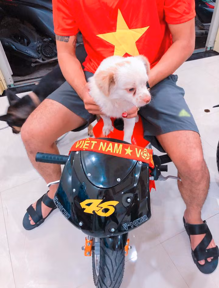 Mắt tôi díu lắm rồi các ông ơi. Nhưng tôi vẫn đi thêm được vài vòng hồ nữa nhé.