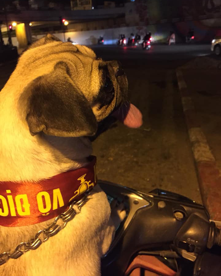 Đã đủ xinh để đi dạo phố phường chưa sen?