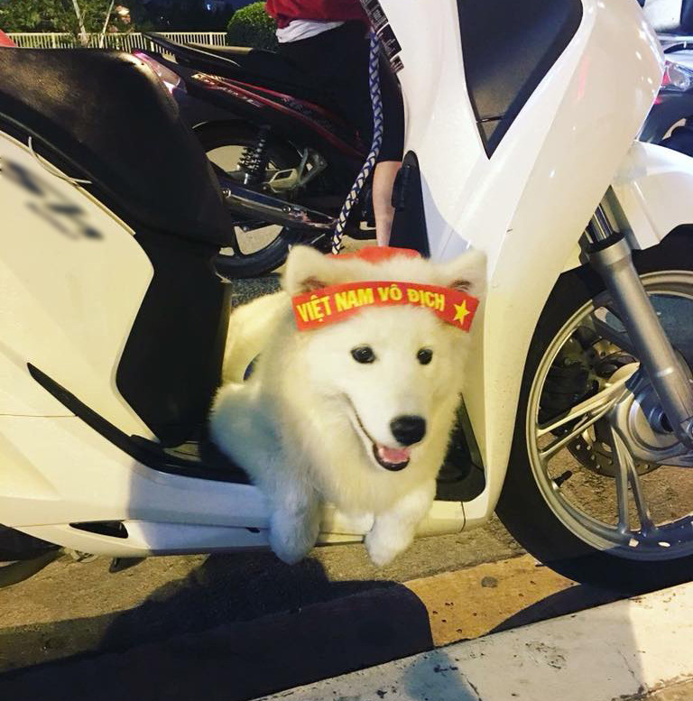 Em vẫn thấy chiến thắng hôm nay là chiến thắng nhỏ, em ở nhà thôi, không đi "bão" đâu. Em chờ trận chung kết cơ.