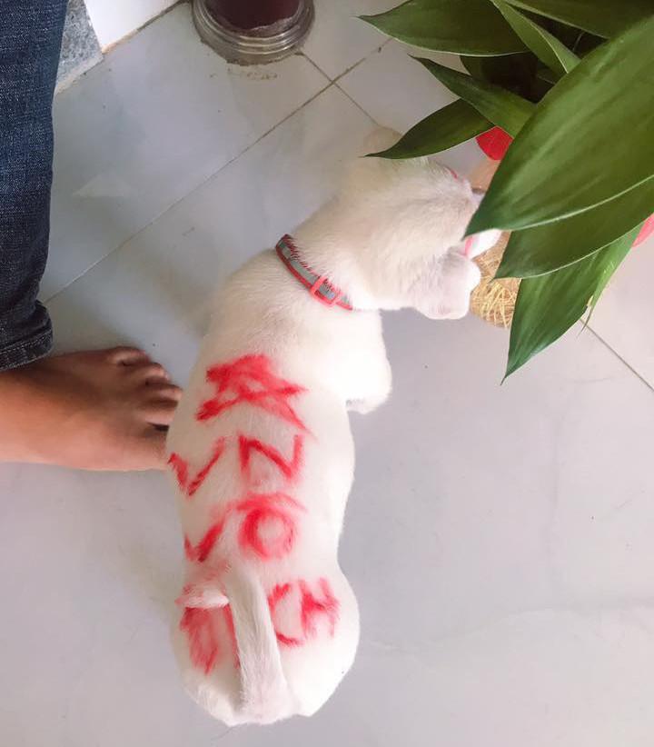 Chỉ cần 1 thỏi son thôi là đủ ra đường ăn mừng chiến thắng rồi, cần gì phải cờ quạt.