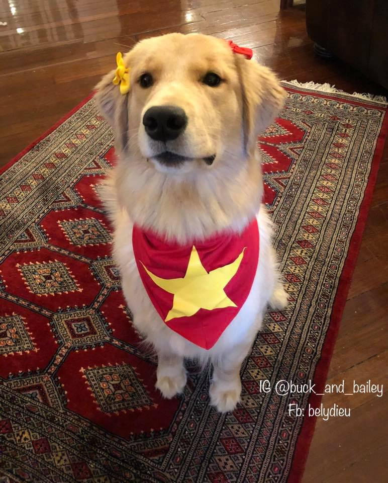 Dừng lại chụp kiểu ảnh kỉ niệm, xong rồi thì phải theo chủ đi bảo là tâm sự của các boss.