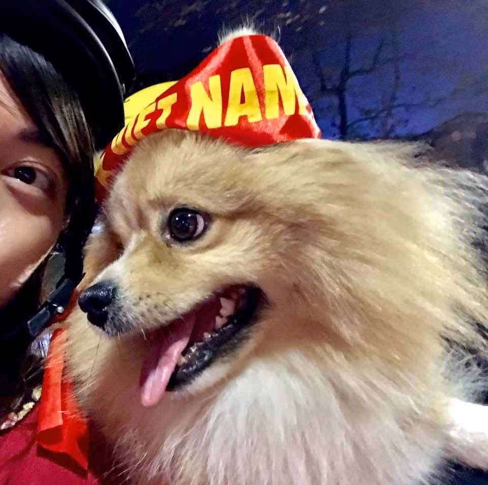 Boss đang nghĩ xem nếu các cầu thủ đội tuyển Việt Nam vào đến chung kết, boss sẽ mặc gì đi "bão" đây.