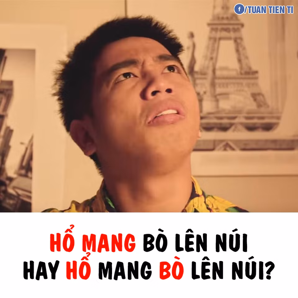 Nhiều bạn trẻ còn để lại bình luận dưới bộ ảnh sự đa dạng của tiếng Việt rằng: "Đúng là những câu từ hack não, mặc dù dùng thường xuyên đấy. Nhưng chỉ cần không đọc kĩ hoặc phân tích sâu thì bạn thấy chúng chẳng có gì khác nhau cả và hỏi lại liệu người nói có bị nhầm".