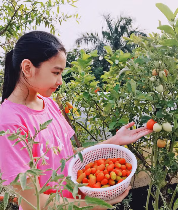 Đặc biệt, đôi mắt sắc sảo, Nhìn qua có thể thấy, Thảo Linh sở hữu nét đẹp của cả bố và mẹ.