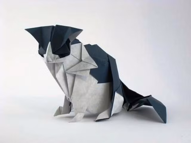 Origami nghĩa là chỉ dùng những tờ giấy vuông nhỏ để gấp thành nhiều tác phẩm nghệ thuật phức tạp khác nhau. Để gấp giấy Origami, người ta không chỉ cần sự kiên nhẫn, khéo léo mà còn cần ghi nhớ và áp dụng rất nhiều quy tắc hình học. Bởi thế, những người thực sự đam mê môn nghệ thuật này phải dành rất nhiều thời gian theo đuổi.