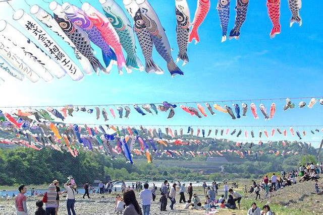 Những lá cờ cá chép Koinobori tượng trưng cho hình ảnh "cá vượt vũ môn", làm biểu tượng cầu mong cho những đứa trẻ trong nhà sau này lớn lên khỏe mạnh, thành công trên đường đời.