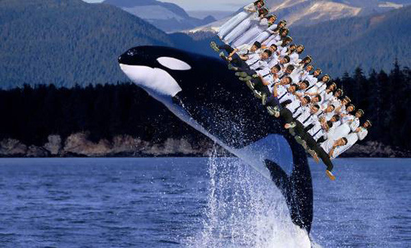 Không chỉ là các danh lam thắng cảnh trên thế giới mà các bạn học sinh còn vô tư sáng tạo với những bức ảnh mình thích.