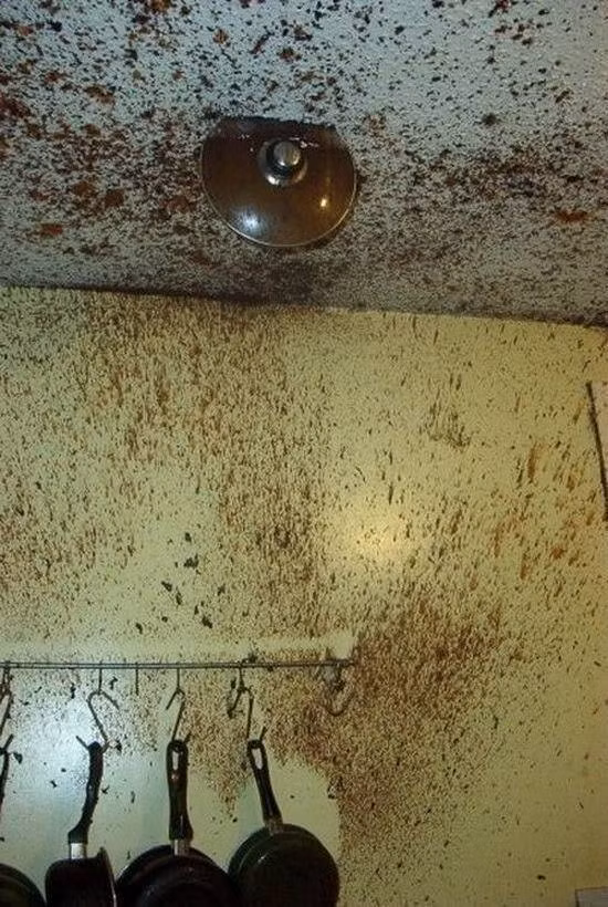 Việc sử dụng nồi áp suất với các nàng dâu vụng về là một cực hình và đôi lúc họ cho cả nắp vung dính lên trần nhà chẳng khác gì một vụ nổ.