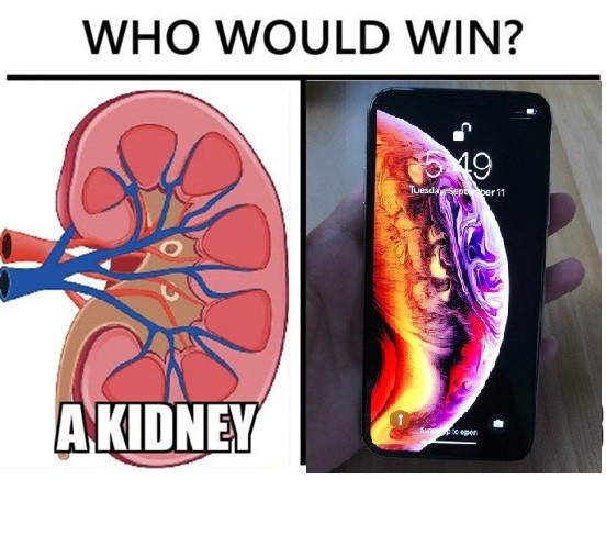 Còn trên mạng xã hội, các tín đồ mê iPhone cũng bắt đầu rục rịch rao bán những thứ mình có để làm sao đủ tiền mua siêu phẩm mới ra của Apple.