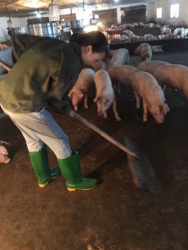 Những bức ảnh mang Đỗ Thị Nhàn tới với cộng đồng mạng được chụp cách đây gần một tuần, trong lúc nữ sinh 9X này đi thực tập tại trang trại nuôi heo ở Ba Vì, Hà Nội.