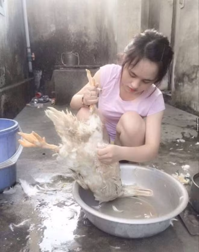 Trong thời đại hiện nay muốn được nhiều người biết tới chỉ có thể sử dụng chiêu thức "độc - dị - lạ". Cũng bởi vậy, mà rất nhiều trai xinh gái đẹp đã phải nỗ lực "tung đòn hiểm" để ghi điểm với dân mạng. Mới đây, một cô gái xinh đẹp bỗng chốc biến thành "hot girl" được nhiều người biết tới với bức ảnh chụp lén lúc đang nhổ lông vịt.