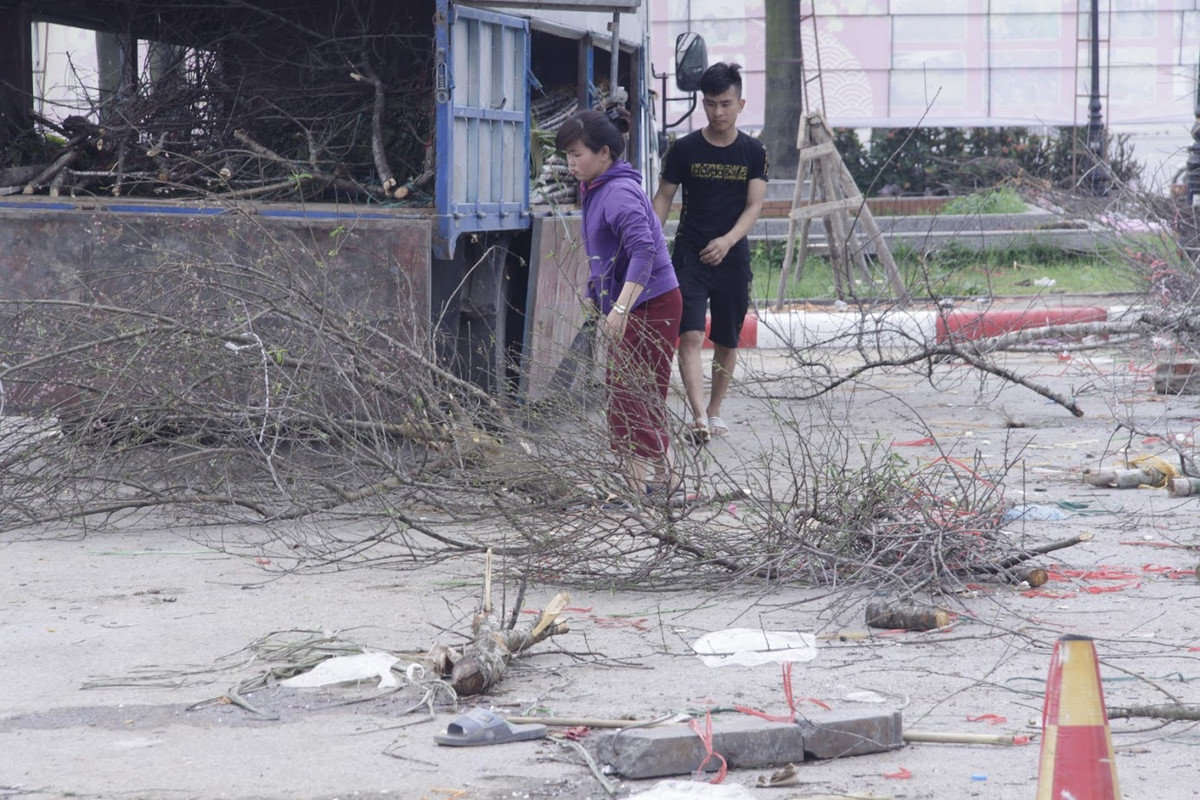 Không chỉ có những cây đào cả đất, năm nay nhiều tiểu thương ở Hà Nội cũng thất thủ với những cánh đào rừng khi chúng đã nở tung và đến 30 Tết thì hết hoa.