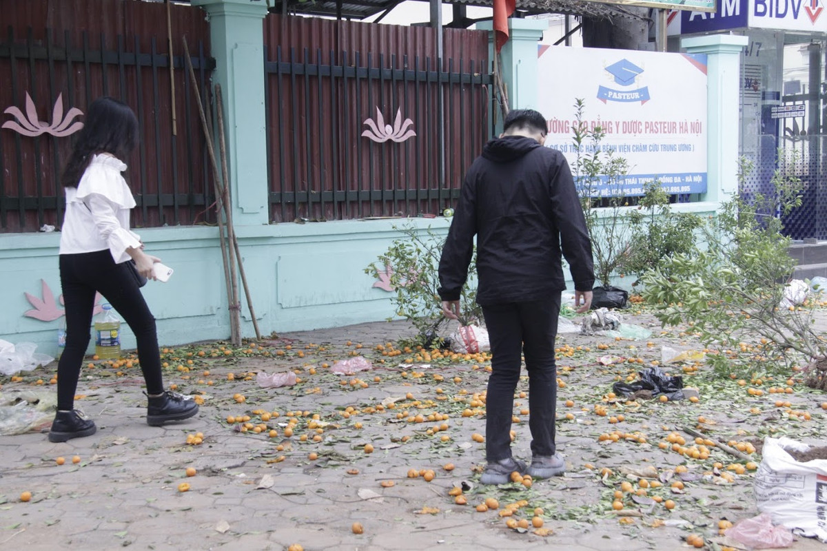 Vì không có người mua, giá lại rẻ, nhiều tiểu thương đã bỏ lại, thậm chí đập hỏng hàng trăm cây quất, cành đào trên phố để về quê ăn tết.