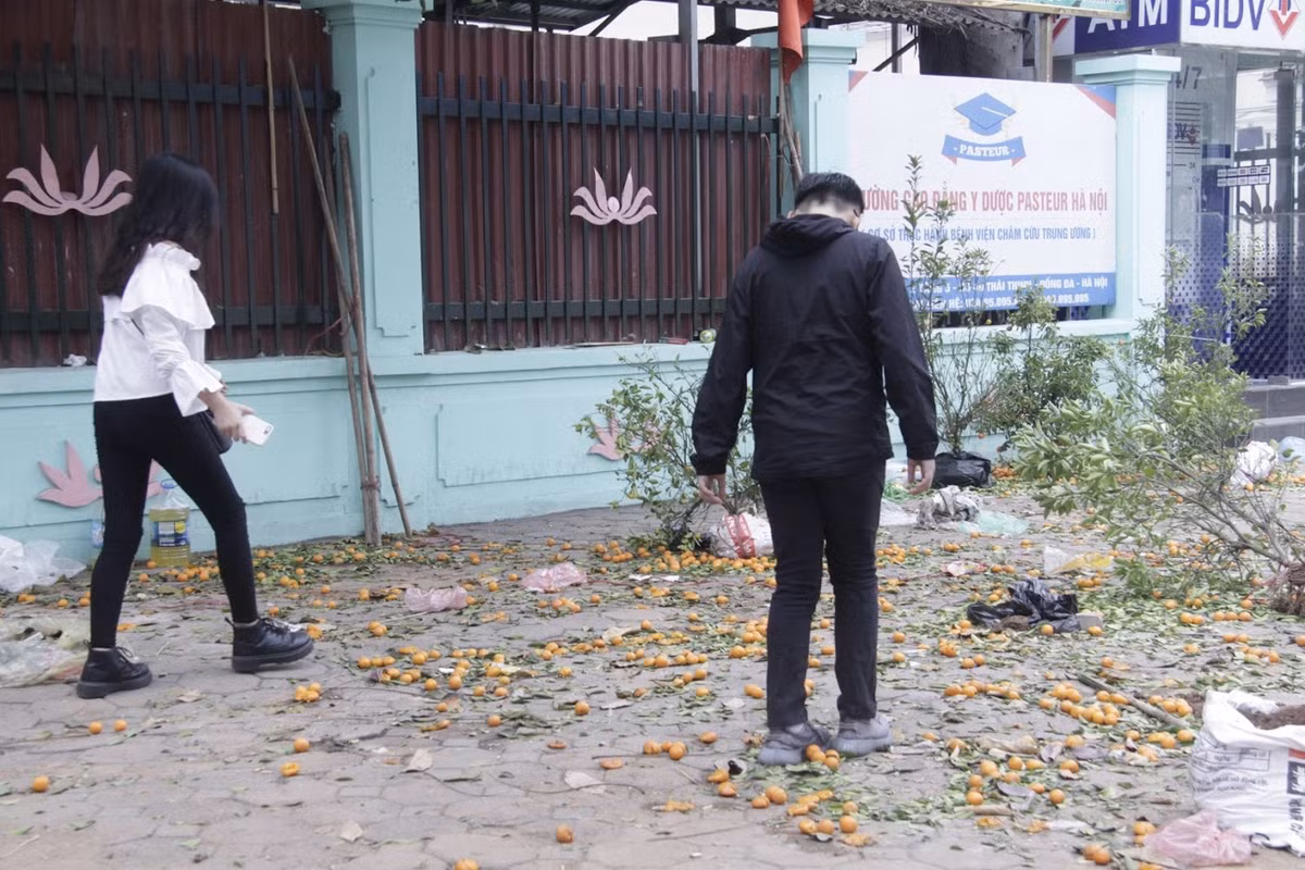 Vì không có người mua, giá lại rẻ, nhiều tiểu thương đã bỏ lại, thậm chí đập hỏng hàng trăm cây quất, cành đào trên phố để về quê ăn tết.