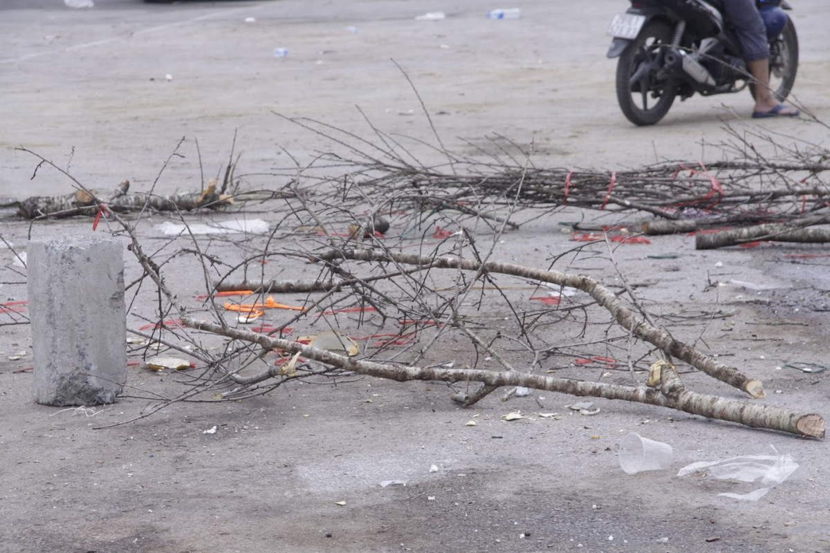 Theo chia sẻ của chị Thanh Hà (43 tuổi, Hưng Yên) cho biết: "Như mọi năm nhà tôi đánh xe ô tô đào và quất vào khu vực nội thành để bán. Nhưng năm nay, nắng nóng quá, đào nở hết chẳng bán buôn được mấy. Chiều 30 Tết ế ẩm, thi thoảng khách đi qua mặc cả những con số không thể bán nổi. Thà chặt đi nhóm củi còn hơn rồi về ăn Tết sớm với gia đình".