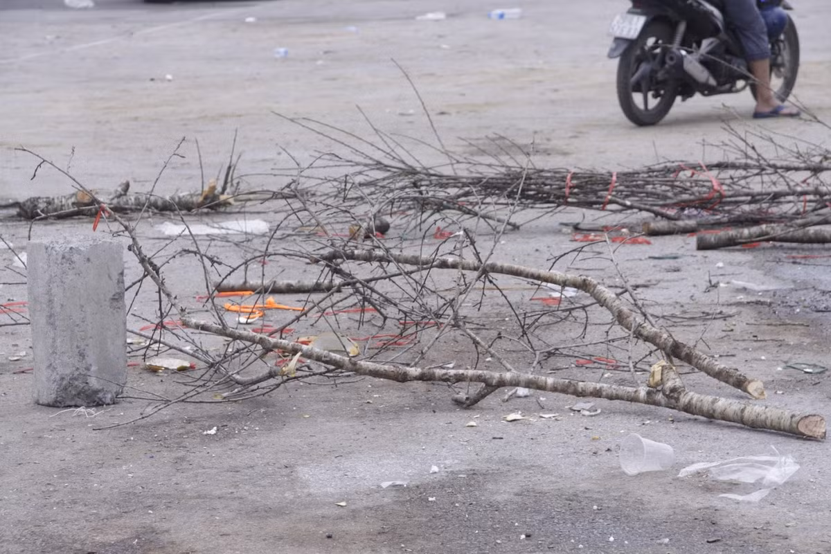 Theo chia sẻ của chị Thanh Hà (43 tuổi, Hưng Yên) cho biết: "Như mọi năm nhà tôi đánh xe ô tô đào và quất vào khu vực nội thành để bán. Nhưng năm nay, nắng nóng quá, đào nở hết chẳng bán buôn được mấy. Chiều 30 Tết ế ẩm, thi thoảng khách đi qua mặc cả những con số không thể bán nổi. Thà chặt đi nhóm củi còn hơn rồi về ăn Tết sớm với gia đình".