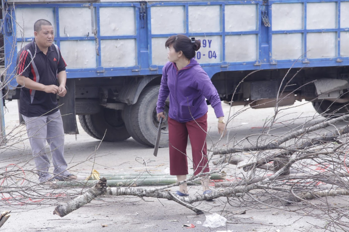 Do thời tiết nắng nóng bất thường của miền Bắc năm nay nên những người buôn đào, quất đã có một năm lỗ vốn.