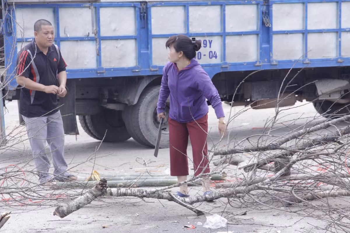 Do thời tiết nắng nóng bất thường của miền Bắc năm nay nên những người buôn đào, quất đã có một năm lỗ vốn.