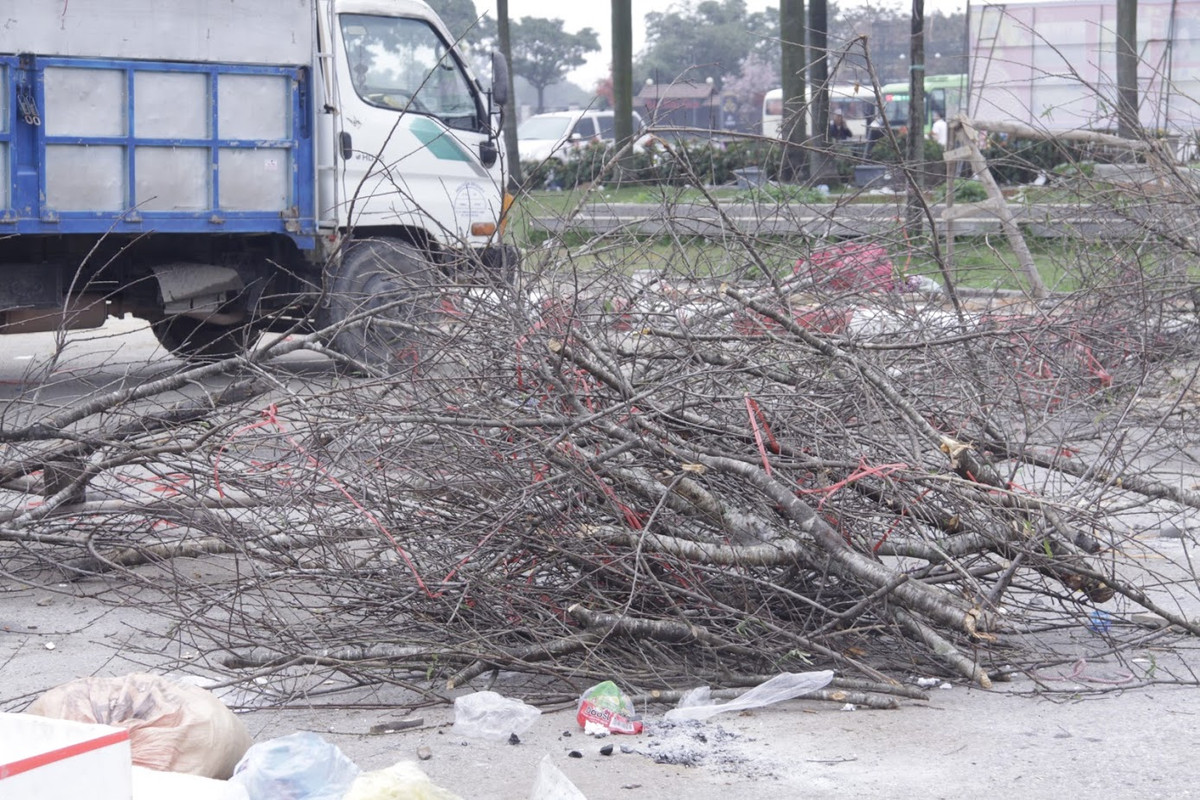 Những cành đào rừng, do nắng nóng bị khô héo, tiểu thương chất thành đống bỏ lại trên đường.