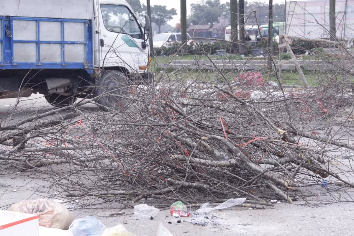 Những cành đào rừng, do nắng nóng bị khô héo, tiểu thương chất thành đống bỏ lại trên đường.