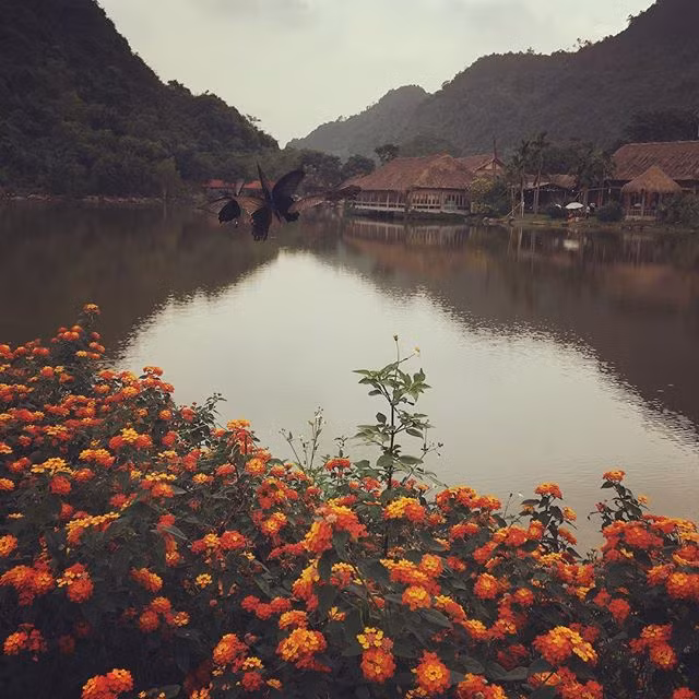 Khu du lịch mới toanh này được ví như một tuyệt tình cốc xinh đẹp, đến Thung Nham các du khách được thả mình vào những hoạt động của một miền quê như chăn dê, hái quả, được thăm thú vườn chim, du ngoạn trên chiếc thuyền nhỏ dọc hồ nước.