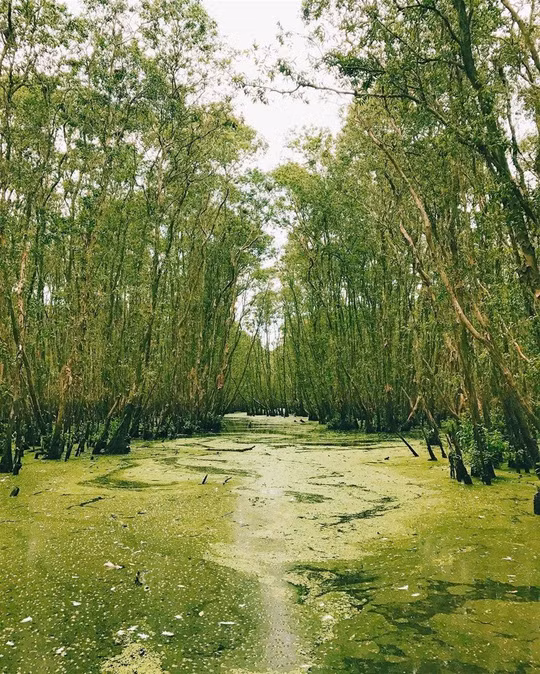 Ở những nơi đã đi qua, Rento đều không quên ghi lại những nụ cười của con người Việt Nam, những người phụ nữ chèo thuyền trên sông Ngô Đồng ở Ninh Bình, người phụ nữ Nam Bộ chờ anh xuyên rừng tràm Trà Sư, đứa trẻ ven đường.